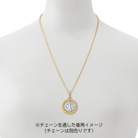 プラチナ/K18イエローゴールド ペンダントトップ | 高品質 金・プラチナ