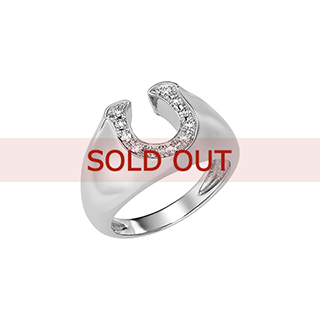 【SOLD OUT】■プラチナ ダイヤモンド リング（18号）〔15・16・17・19・20・21号は有料サイズ合わせが可能〕