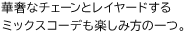 華奢なチェーンとレイヤードするミックスコーデも楽しみ方の一つ。