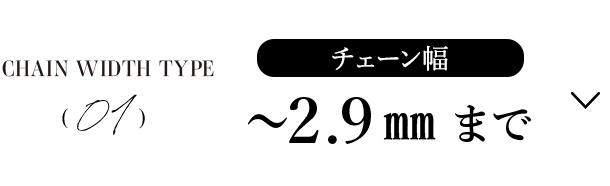 CHAIN WIDTH TYPE 01 チェーン幅～2.9mmまで
