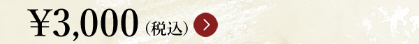 ￥3,000（税込）