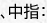 、中指：