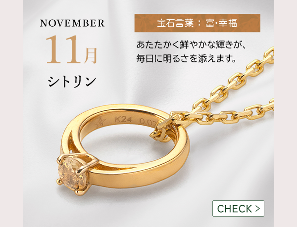 NOVEMBER 11月 シトリン 宝石言葉 ： 富・幸福 あたたかく鮮やかな輝きが、毎日に明るさを添えます。CHECK >