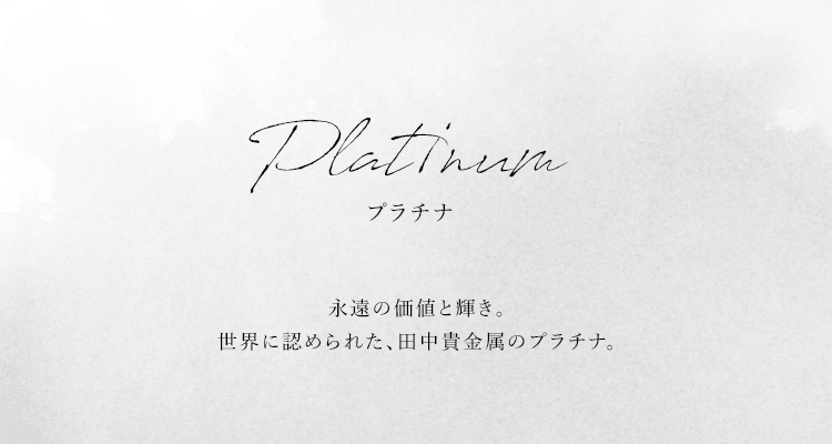 Platinum プラチナ一覧【GINZA TANAKA】オンラインショップ